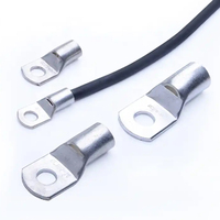 Usine moins chère SC25-6 SC35-10 SC50-6 SC70-6 SC95-6 chaussure de câble de cosse de câble en cuivre SC avec certificat CE