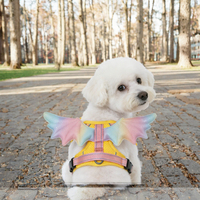 Harnais de poitrine Aile d'Ange avec ailes en nylon 3D, fermeture à boucle, laisse, lavable à la main et en machine pour chats et chiens
