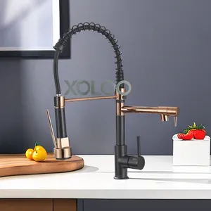 XOLOO rubinetto da cucina tirare fuori economico flessibile in ottone a doppia uscita 360 rotazione doppia funzione rubinetto da cucina