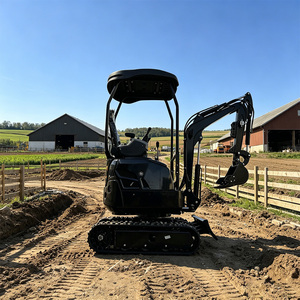 Mini Excavadora con Envío Gratuito, Excavadora Pequeña de 1.6 Toneladas, Máquina Excavadora Hidráulica de 1 y 2 Toneladas para Granja, en Venta - Product Image 4