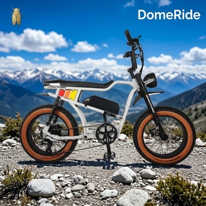 Exportación de Comercio Exterior Transfronterizo, Almacén en Europa y Estados Unidos, Generación 20, Bicicleta Eléctrica de Doble Motor de 20 Pulgadas, 52V 2000W - Product Image 1