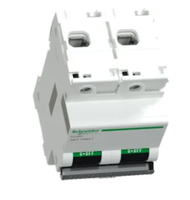 Disjoncteur Schneider C120H 2 pôles D80A, haute capacité de coupure pour circuits électriques industriels