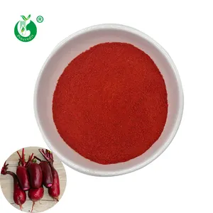 Hersteller Großhandel Bulk Natural Food Pigment Rettich Rot pulver