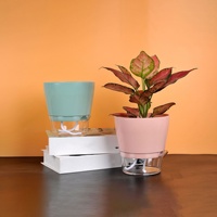 Jardin intérieur circulaire arrosage automatique plantes vertes en pot Macaron Transparent auto-absorbant paresseux Pot en plastique