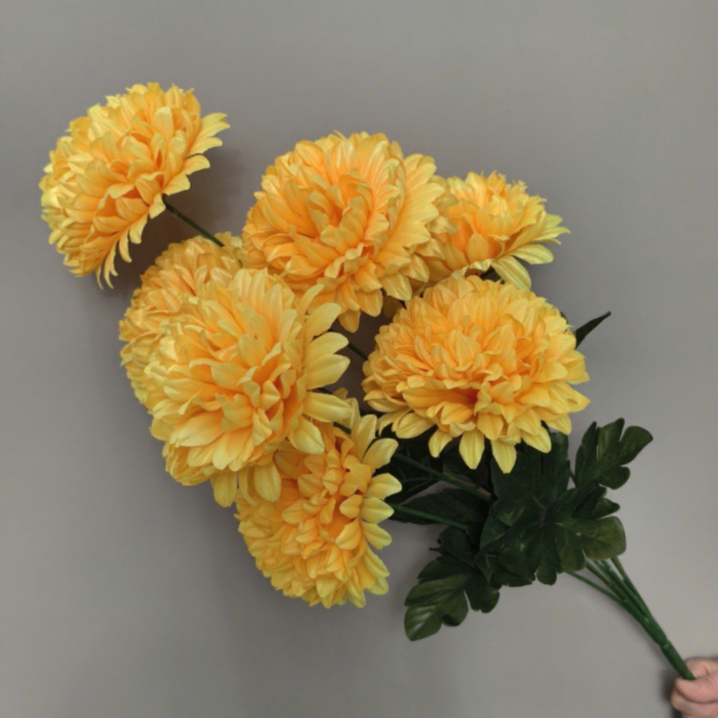Chrysanthème à boules jaunes