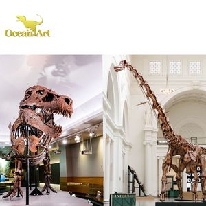 Réplicas de Esqueletos de Dinosaurios de Tamaño Real, Fósiles de Dinosaurios Reales - Product Image 5