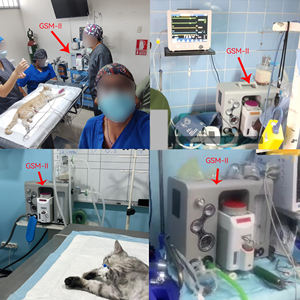 Penggunaan Medis Mouina De Anestesia Sistem Anestesi yang Baik Mesin Anestesi Veteriner - Product Image 6