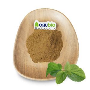 Chiết xuất lá dâu tằm bổ sung sức khỏe 98% DNJ hòa tan trong nước, chiết xuất lá dâu tằm tự nhiên dạng bột 1-Deoxynojirimycin - Product Image 1