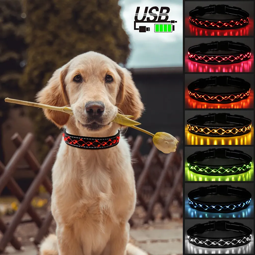 Pet Supplies Adjustable LED Flashing Nylon Collar Waterproof USB Rechargeable Luminous Led Dog Collar