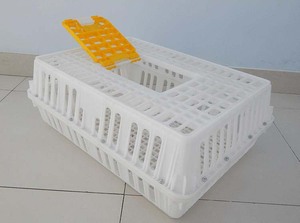 Jaula de transporte de plástico para jaulas para pollos, jaulas para pollos para cría de aves de corral - Product Image 4