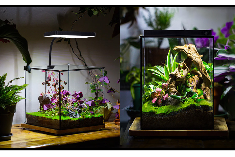 WEEK AQUA Mini 9 Pro Clip-On LED Light for Aquariums - RGB+UV Full
