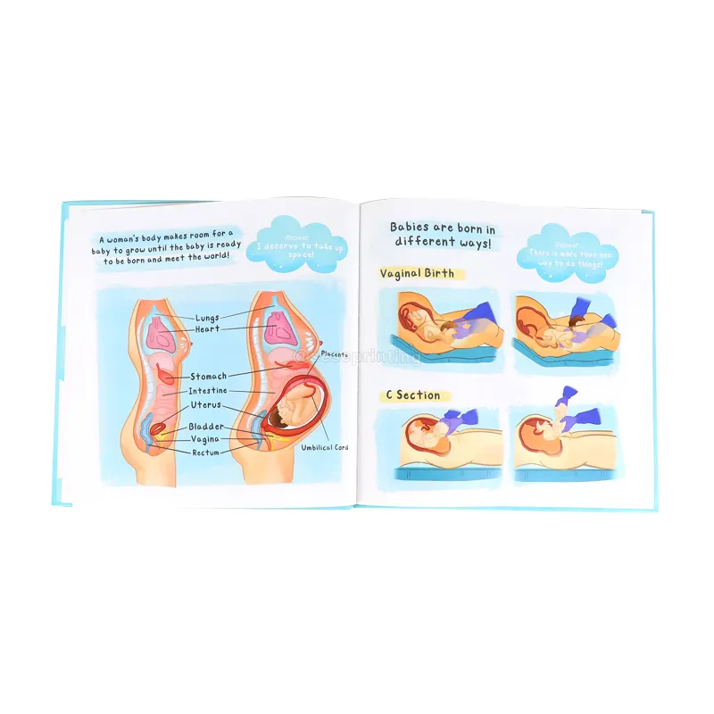 Verständnis von Körper wissenschaften/Sicherheit und Selbstliebe Lehrbücher für Kinder, die Hardcover-Buchdruck anbieter veröffentlichen