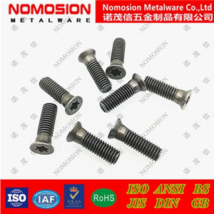 Tornillo de Cabeza Torx M5x13 7.2 82 T20 para Piezas de Maquinaria para Trabajar la Madera, Acero de Alta Precisión - Product Image 2