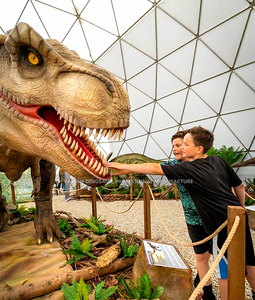 T-Rex Animatronico a Grandezza Naturale per Parco dei Dinosauri - Product Image 3