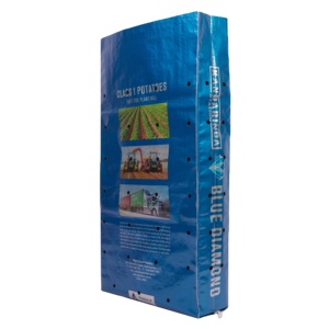 ถุงวาล์วก้นแบนแบบกันน้ำเคลือบ PP ทอ ผลิตตามสั่งจากโรงงานจีน ขนาด 25 กก. 50 กก. พิมพ์ลายกราเวียร์ - Product Image 2