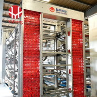 Système de cages en batterie automatique de type H, avec courroie de fumier, convoyeur à œufs et abreuvoir à tétine, pour élevage de poulets OEM