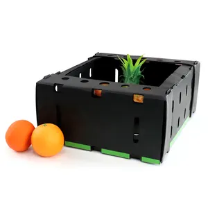 Caja corrugada Cajas de plástico PP para frutas Caja de embalaje de serigrafía agrícola para frutas y verduras