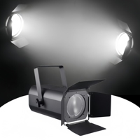 Projecteur LED Zoom Surface Par Blinder 200W WW/CW Blanc DMX pour Théâtre, Studio, Scène, Parc à Thème, Éclairage d'Audience et Projecteurs de Profil