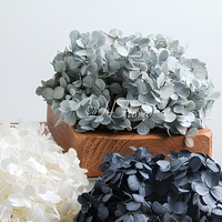 Vente en gros de 20g de fleurs d'hortensia séchées conservées et décoratives éternelles dans une boîte pour la maison, le mariage, le bouquet de fleurs en ligne
