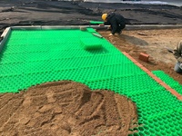 Grille de pavage en gravier à emboîtement en plastique, trottoir de conception de chemin de jardin