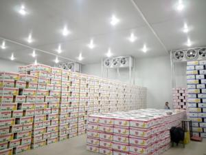 Solutions de Réfrigération Automatique Intelligentes et Personnalisées pour le Traitement des Fruits et Légumes, Moteur, Énergie <span class=keywords><strong>Solaire</strong></span> - Product Image 2