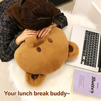 Coussin en peluche personnalisé ultra doux en polyester et coton PP pour siège de voiture, chaise de bureau, couette, cadeau d'anniversaire