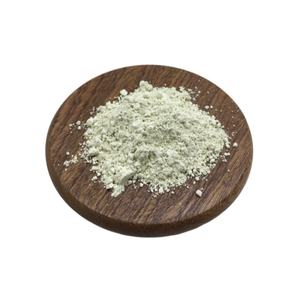 Poudre d'extrait de feuille d'olivier de qualité supérieure 10% acide maslinique - Product Image 2