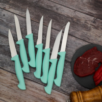 Ensemble de couteaux à steak en gros à prix promotionnel, 6 pièces, couteaux à steak et à éplucher, ensemble de couteaux de cuisine, couteaux de table, manche en PP