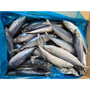 Caballa de pescado congelada Precio al por mayor 10kg Ctn Caballa congelada 300/500P Caballa del Pacífico - Product Image 5