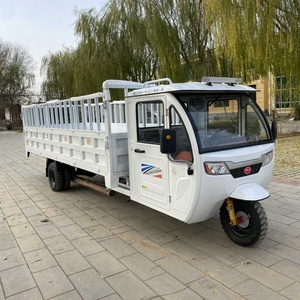 Tricycle électrique à 5 roues pour le transport de marchandises, tricycle motorisé avec benne basculante pour l'agriculture - Product Image 5