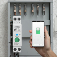 Disjoncteur Intelligent WiFi TUYA 63A MCB avec Protection Contre les Surintensités et Sous-Tensions, Mesure de Puissance et Contrôle à Distance Sans Fil