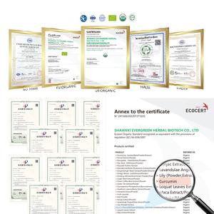 Extrait de curcumine nano <span class=keywords><strong>soluble</strong></span> dans l'eau à 100% pur, extrait de racine de curcuma en poudre, fabricants de curcumine nano - Product Image 4