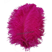 Grand vase floral de 20/22 pouces, décoration réelle, bricolage, plumes d'autruche naturelles noires pour fête, carnaval, mariage