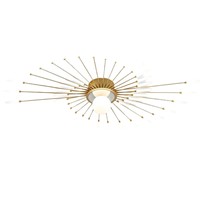 Plafonnier LED créatif de luxe à intensité variable avec télécommande, style moderne, lampe de plafond en forme de feux d'artifice, éclairage intérieur pour salon