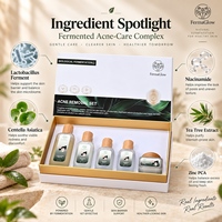 Kit de Soins Cutanés Anti-Acné et Anti-Imperfections à l'Acide Salicylique Fermenté, au Théier et à la Corteau de Saule pour le Nettoyage des Pores et le Contrôle du Sébum