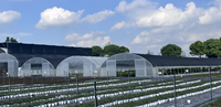 Serre tunnel agricole en acier galvanisé avec film plastique écologique pour la culture de tomates, laitues et poivrons
