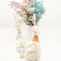 Diffuseur de parfum en roseau de haute qualité de 8 cm et 11 cm avec corde en coton, grande fleur de pivoine blanche naturelle en bois de sola