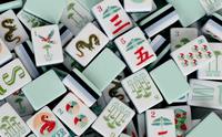 Jeu de société et de fête Yunduo Collection Palmier Royal Vert Menthe 160 pièces – Tuiles de Blackjack de luxe en acrylique pour loisirs et divertissement