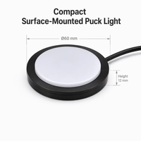 Lumière LED à puce DC12V 2.5W 3CCT à couleur commutable, lumière LED sous l'armoire, lumière LED de plafond pour camping-car, lumière de dôme