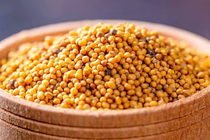 Graines de moutarde jaune indienne naturelle entières, épice de haute pureté, qualité alimentaire pour la transformation alimentaire, approvisionnement en vrac pour l'exportation - Product Image 3