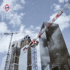 YOM 2020 Gebraucht Zoomlion Topless Turmdrehkran 6015-8T Mit 1,6 m Mast - Product Image 5