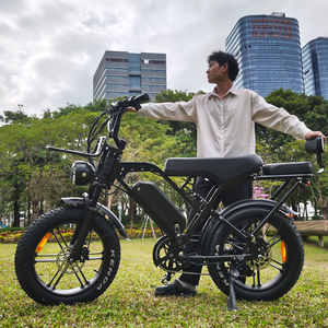 Vélos électriques à batterie 250w à vendre Fatbike Eu Magazijn Mid Drive Ebike <span class=keywords><strong>Bicyclette</strong></span> Fiets Bicicleta Eletrica X80 PRO VOMO - Product Image 2
