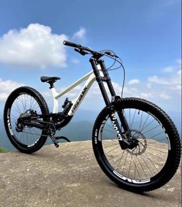 DNM RCP-2S 减震下坡山地自行车全避震成人自行车 11 速 4 活塞液压刹车 148X12 毫米 - Product Image 3