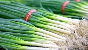 FX-C-108 Spring Onion Shallot Skin Blowing <strong>Machine</strong> Green Onion Scallion Peeler <strong>Machine</strong> - Product Image 6