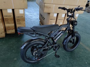 Bicicleta Eléctrica con Llantas Gruesas de 20*4 Pulgadas, Directo de Fábrica, Motor Central, 30-50 Nm de Torque, para Adultos, Todoterreno y Montaña - Product Image 1