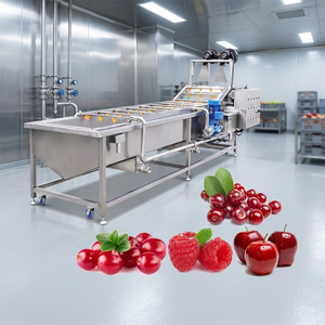 New <b>Small</b> Industrial Air Bubble Ozone Fruit and Vegetable Washing <b>Machine</b> High Capacity SS304 Material - Product Image 3