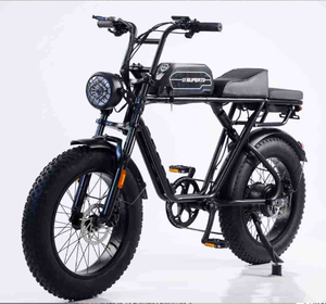 Vélo électrique puissant à pneus larges de 20 pouces pour adultes, 48V 750W, vélo électrique tout-terrain à suspension intégrale, vélo électrique hybride - Product Image 1