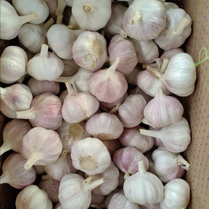 <span class=keywords><strong>Ail</strong></span> blanc de grande taille de la nouvelle récolte chinoise à <span class=keywords><strong>prix</strong></span> bas pour l'importation/l'exportation, <span class=keywords><strong>ail</strong></span> sauvage de haute qualité à vendre - Product Image 1
