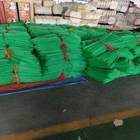 Hoge kwaliteit PP/PE mono mesh zak met UV-bescherming en trekkoord voor dadelpalm bescherming en fruitbescherming