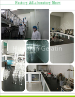 1 kg d'augmenteur de valeur nutritionnelle de qualité alimentaire, protéine hydrolysée pour boissons, complément alimentaire pour boulangerie Huaxuan